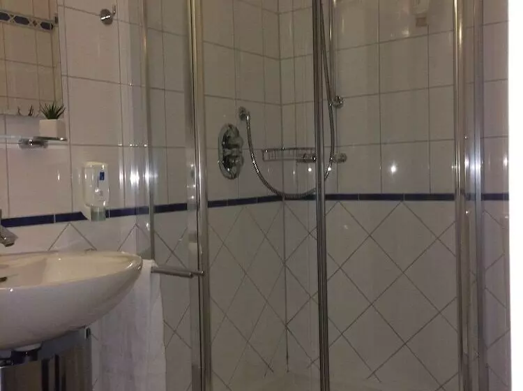 Standard Yhden Hengen Huone, Landhotel Waldseiter Hof