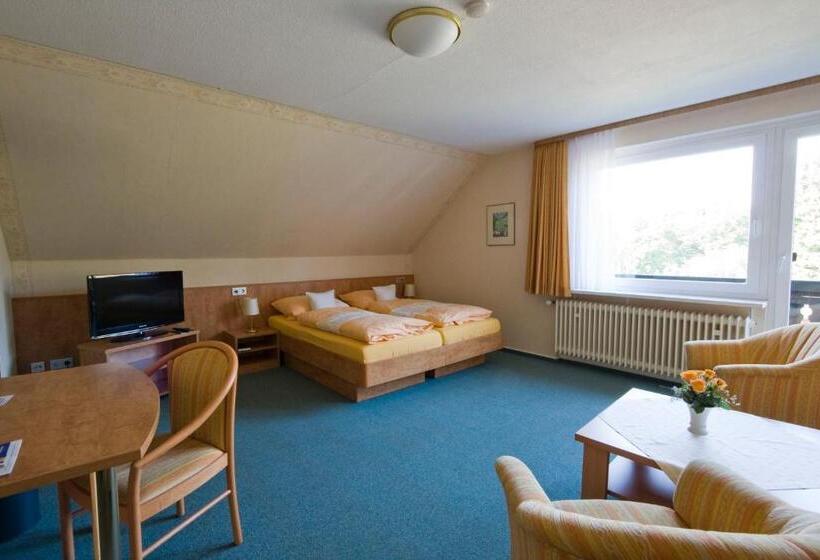 اتاق خانوادگی, Mein Vierjahreszeiten Hotel Garni Superior