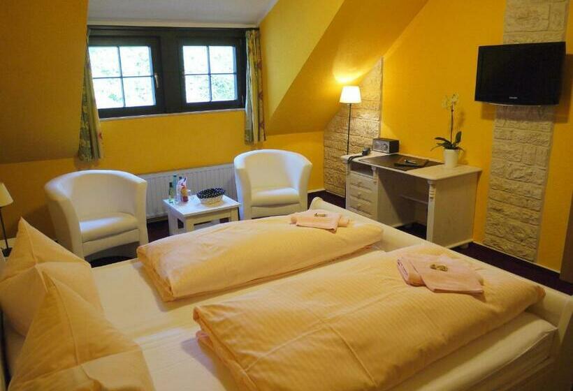 Номер Стандарт, Parkhotel Schwarzenberg   Garni