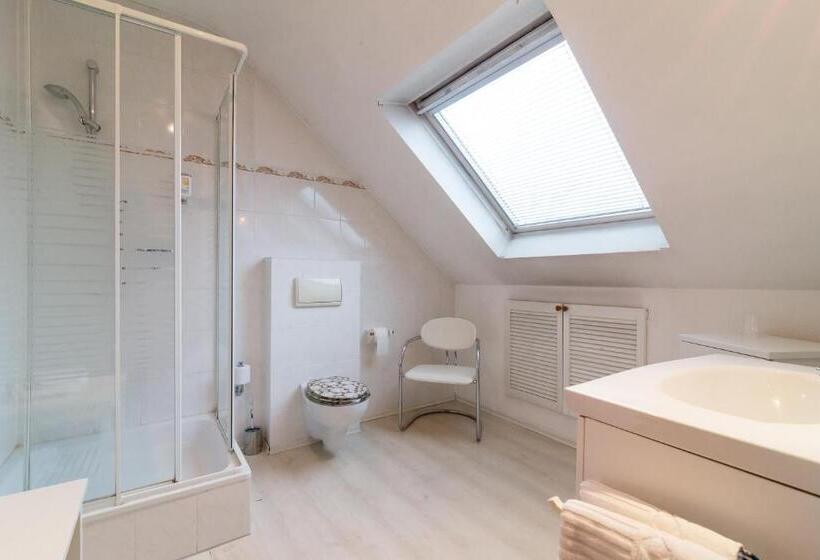 اتاق استاندارد, Thermen Hotel & Restaurant Bad Soden