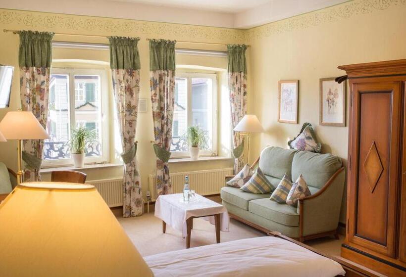 Номер Superior Одноместный, Wagners Hotel Greifen Post