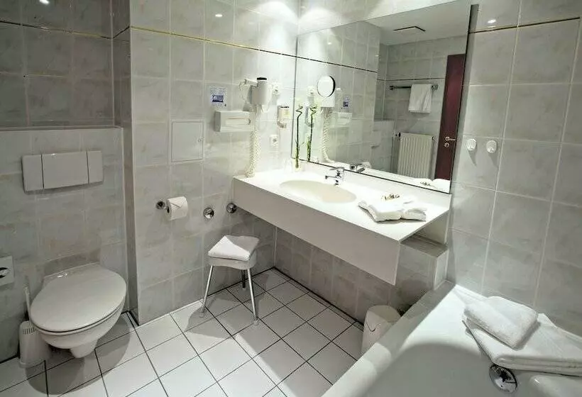 クラシックルーム, Alpina Lodge Hotel Oberwiesenthal