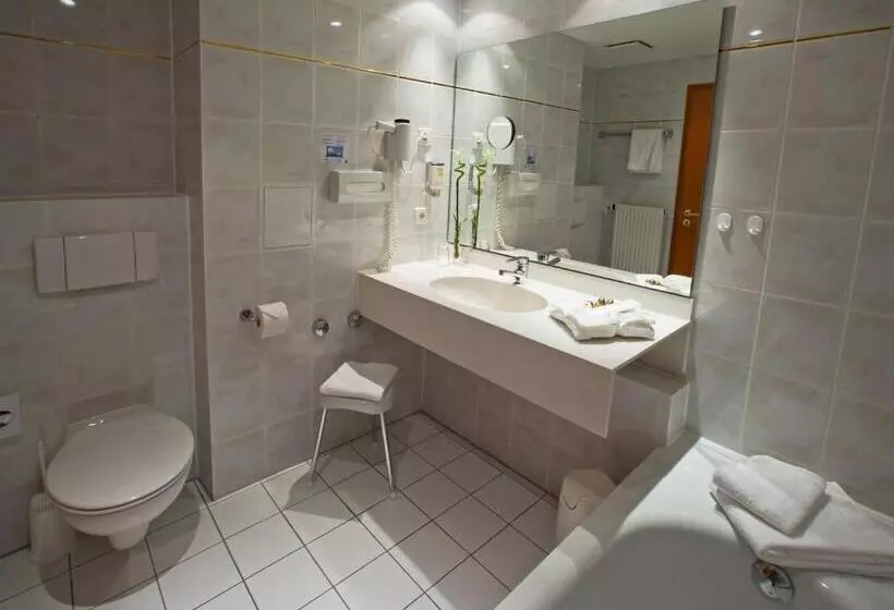 コンフォートルーム, Alpina Lodge Hotel Oberwiesenthal