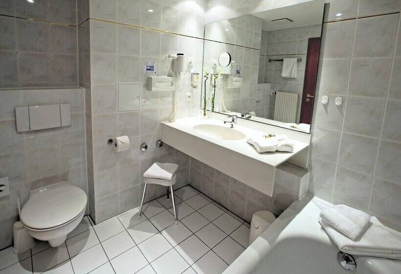 Номер Комфорт, Alpina Lodge Hotel Oberwiesenthal