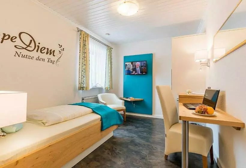 اتاق استاندارد یک نفره, Gräfliches Hotel Alte Post