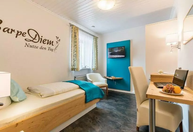 اتاق استاندارد یک نفره, Gräfliches Hotel Alte Post