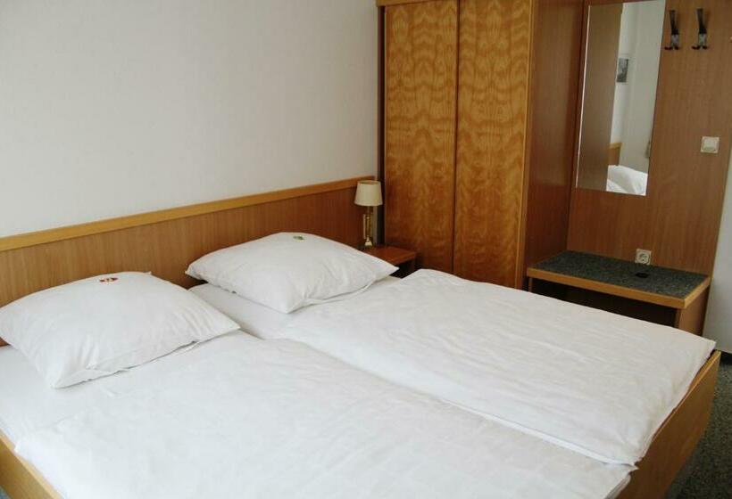 标准间带阳台, Alt Oesselse