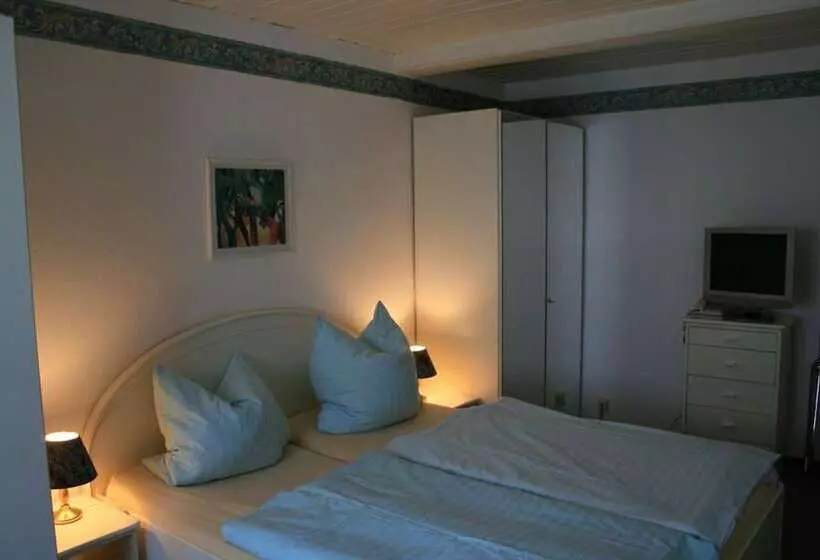 اتاق اکونومی, Altes Zollhaus