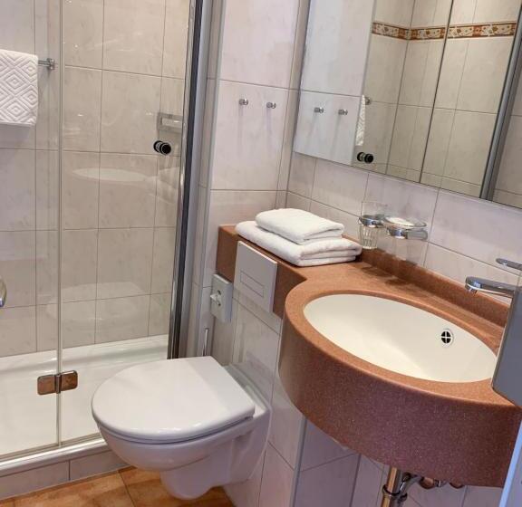 اتاق استاندارد یک نفره, Haus Am Hochwald