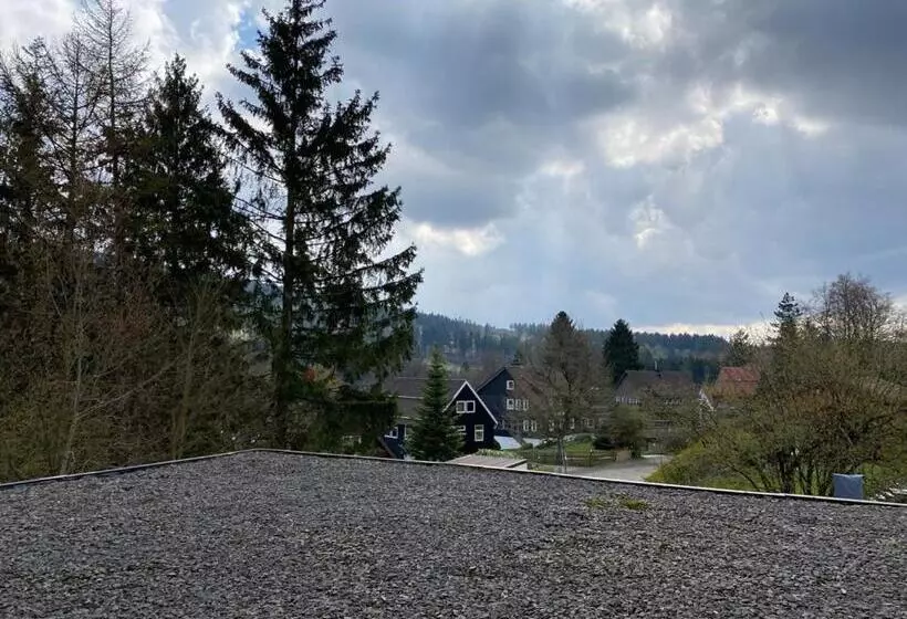 バルコニー付きジュニアスイート, Haus Am Hochwald