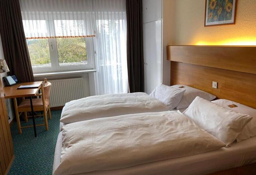 سوییت جونیور با بالکن, Haus Am Hochwald