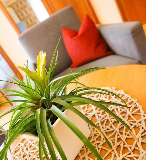 스탠다드 싱글 룸, Ortner S Resort