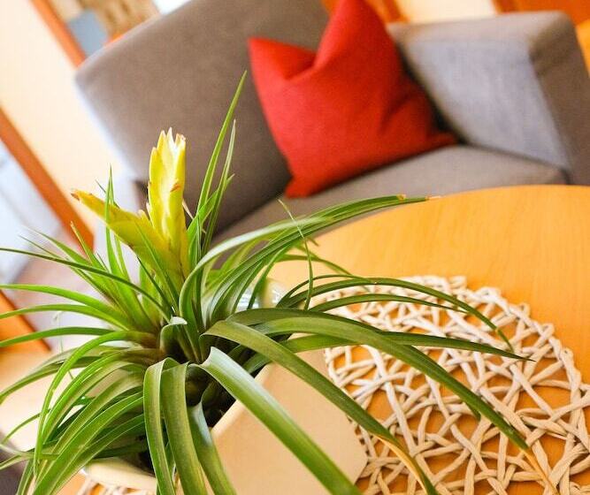 로맨틱 룸, Ortner S Resort