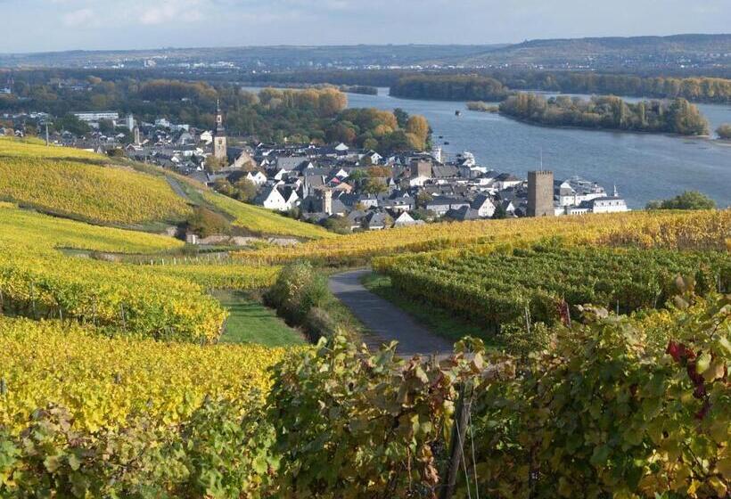 スタンダードルーム, Rüdesheimer Hof   Superior