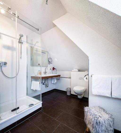 コンフォートルーム, Rüdesheimer Hof   Superior