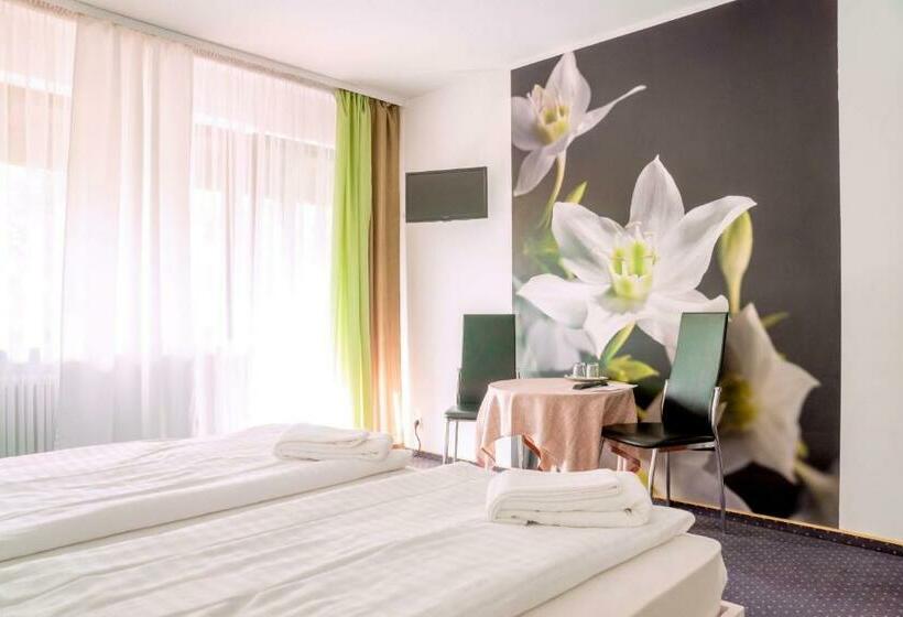 スタンダードルーム, Schwanen Resort