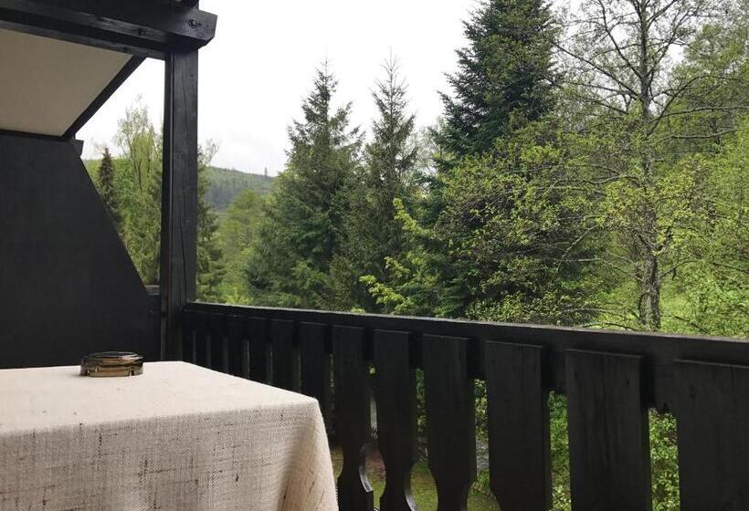 חדר סטנדרט לשלושה, Schwanen Resort