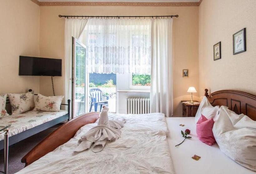 غرفة قياسية فردية, Villa Amber