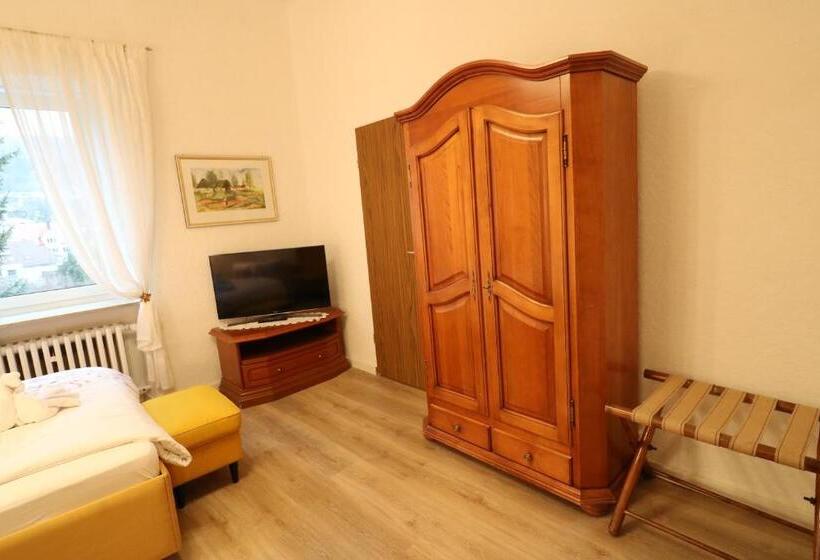 غرفة قياسية, Villa Amber