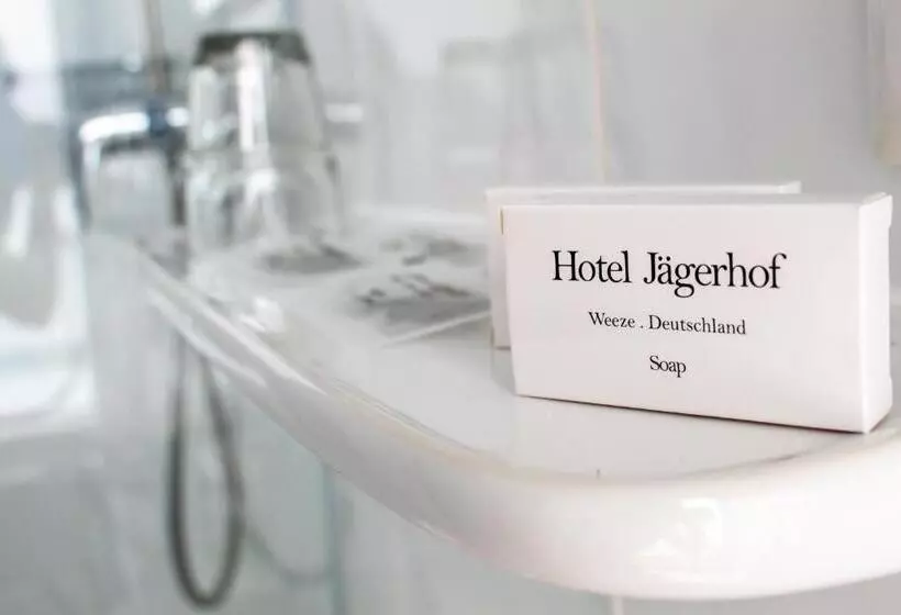 スタンダードルーム, Airport Hotel Jägerhof Weeze