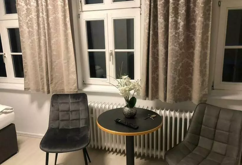 اتاق راحتی, Altstadt Hotel Gosequell