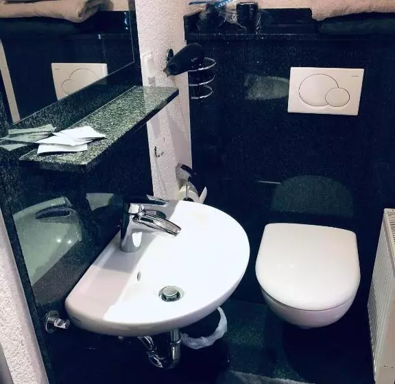 اتاق عادی, Altstadt Hotel Gosequell