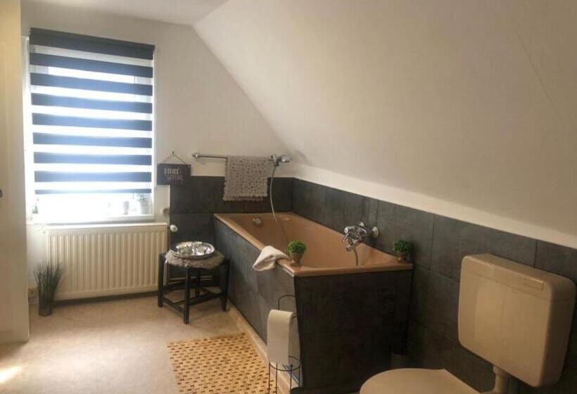 Четырехместный Номер Стандарт, Altstadt Hotel Gosequell