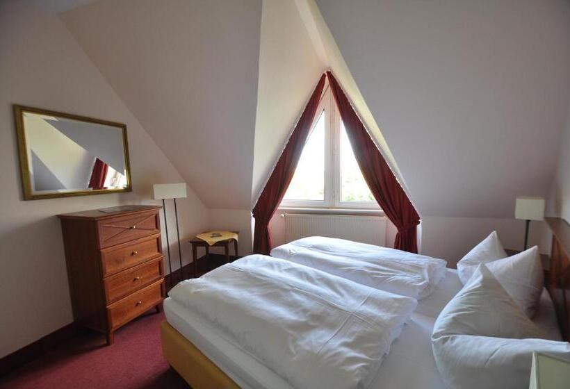 شقة غرفة واحدة, City Hotel Aschersleben