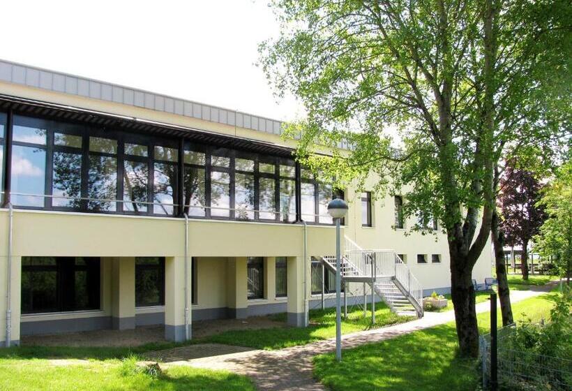 スタンダードルーム, Fit