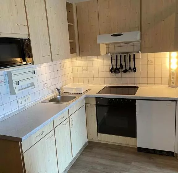 آپارتمان 1 خوابه با تراس, Landhotel Sportalm