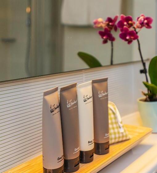 小型套房, Parkhotel Traunstein