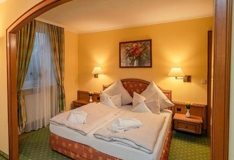 小型套房, Parkhotel Traunstein