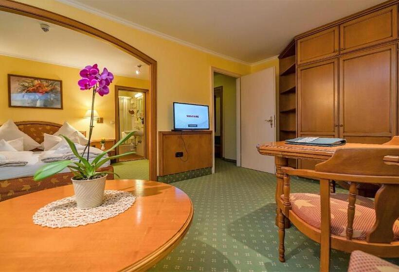 Полулюкс, Parkhotel Traunstein