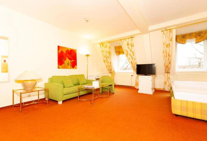 高级大房间, Parkhotel Traunstein