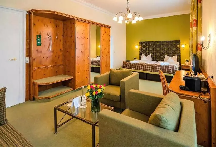 اتاق سوپریور, Parkhotel Traunstein