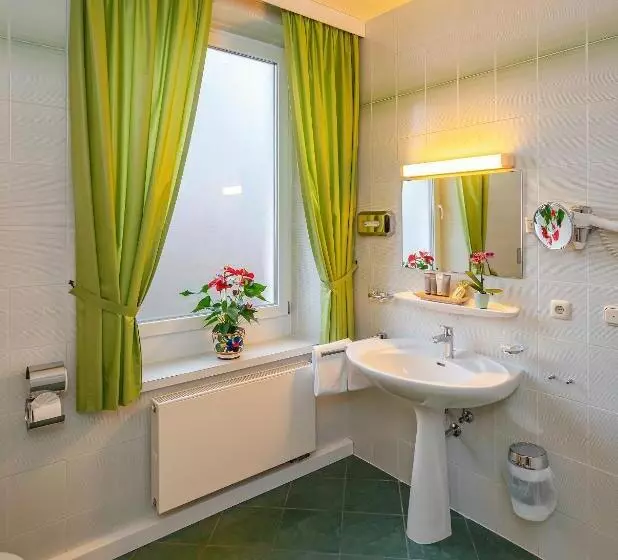 اتاق سوپریور, Parkhotel Traunstein