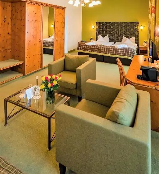 اتاق سوپریور, Parkhotel Traunstein