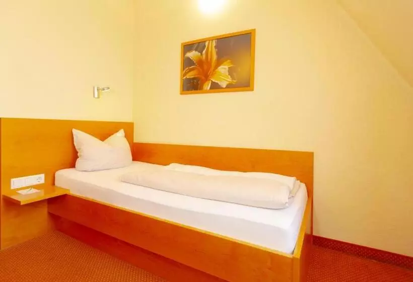 اتاق استاندارد یک نفره, Parkhotel Traunstein