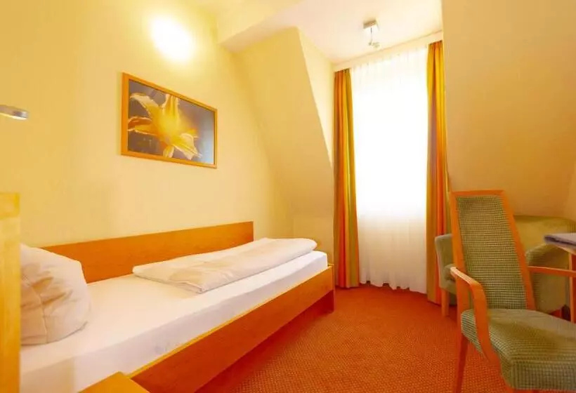 اتاق استاندارد یک نفره, Parkhotel Traunstein