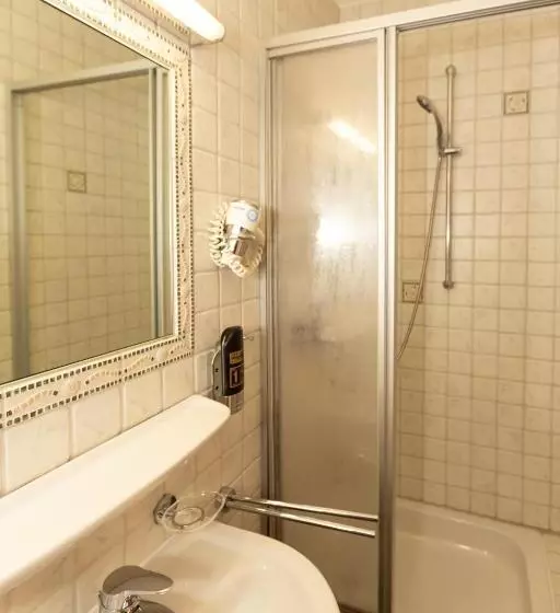 اتاق استاندارد یک نفره, Parkhotel Traunstein