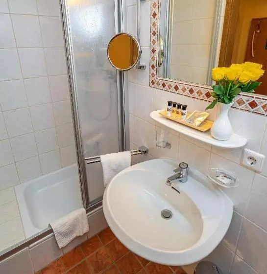 اتاق استاندارد یک نفره, Parkhotel Traunstein