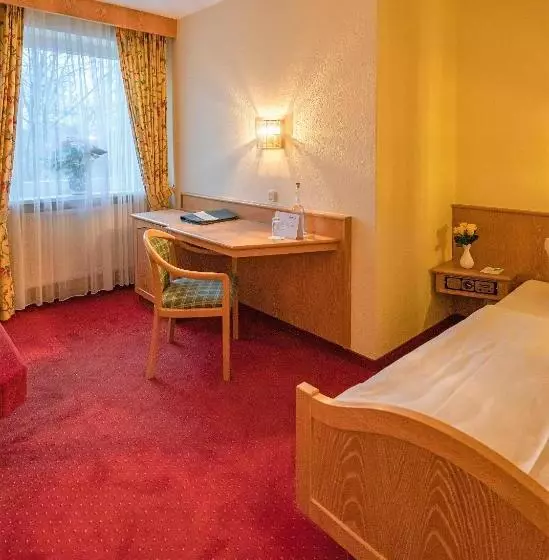 اتاق استاندارد یک نفره, Parkhotel Traunstein