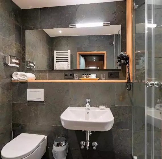 اتاق استاندارد, Parkhotel Traunstein