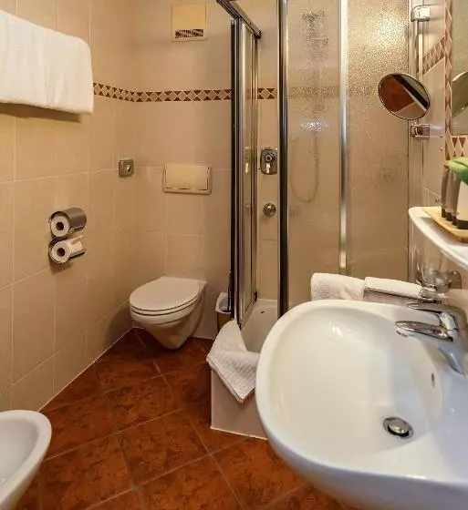 اتاق سوپریور یک تخته, Parkhotel Traunstein