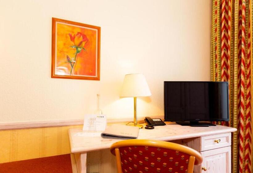 高级单人间, Parkhotel Traunstein