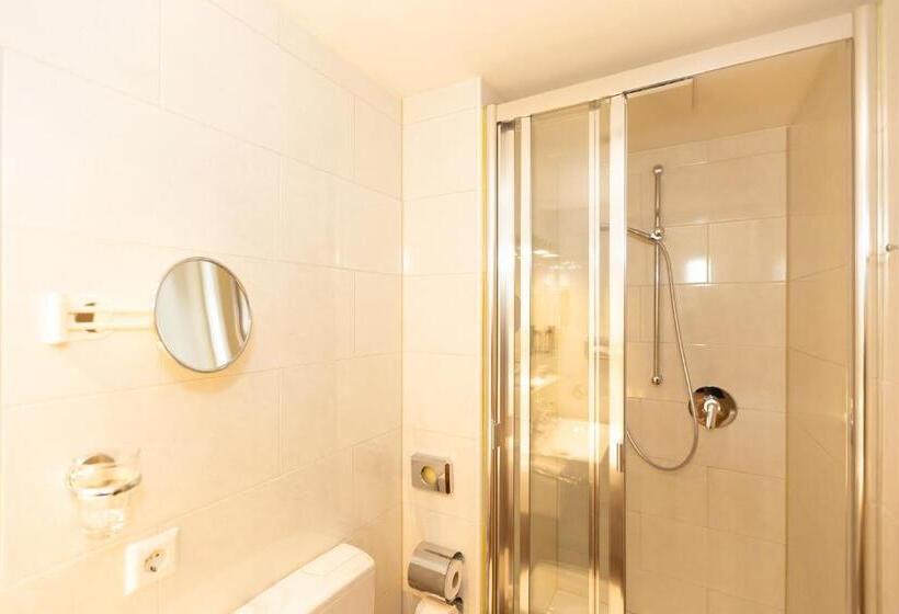 高级单人间, Parkhotel Traunstein