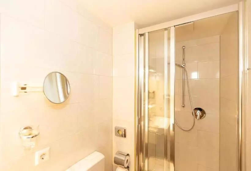 اتاق سوپریور یک تخته, Parkhotel Traunstein