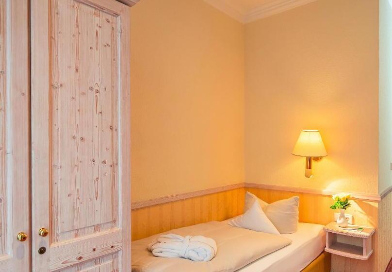 高级单人间, Parkhotel Traunstein