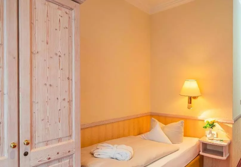اتاق سوپریور یک تخته, Parkhotel Traunstein