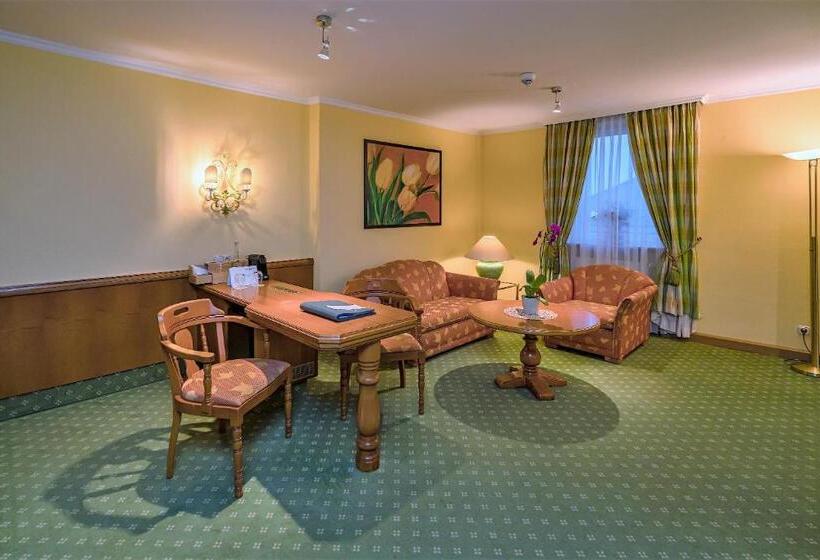 小型套房, Parkhotel Traunstein